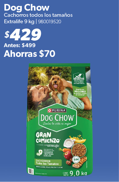 Cachorros todos los tamanos