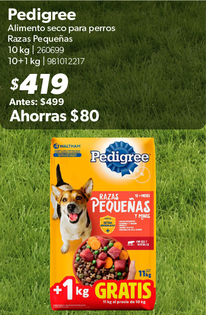 Alimento seco para perros razas pequenas