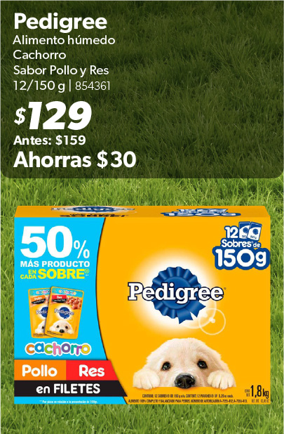 Alimento humedo cachorro