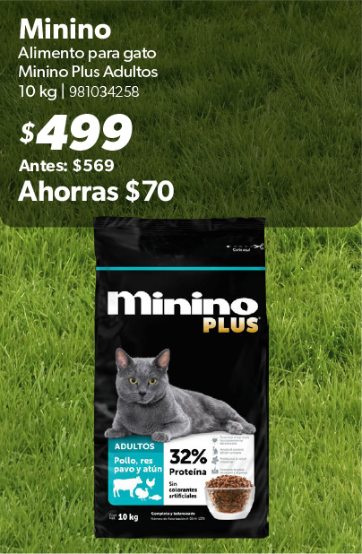 Alimento para gatos plus