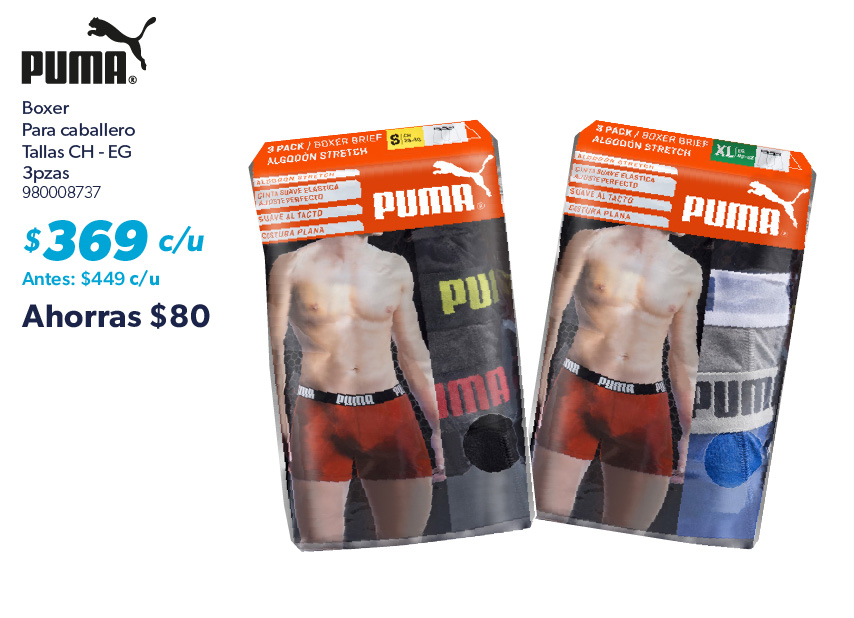 Boxer caballero