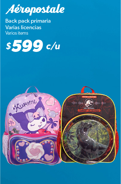 Back pack primaria