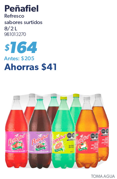 Refresco sabores surtidos