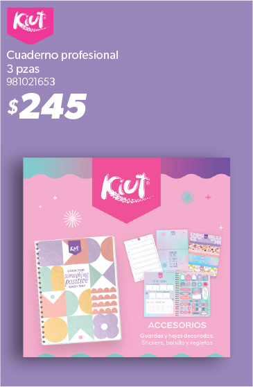 Cuaderno profesional