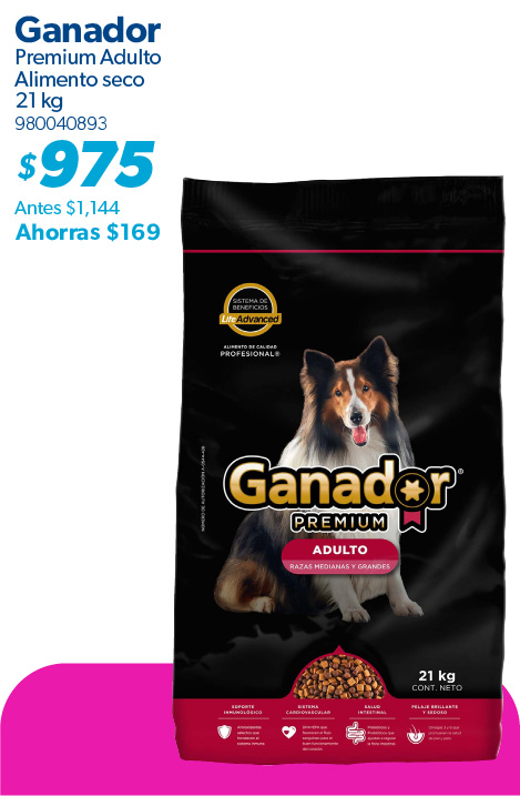 Alimento seco adultos