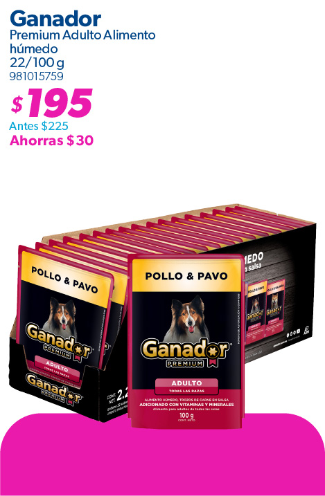 Alimento humedo adultos