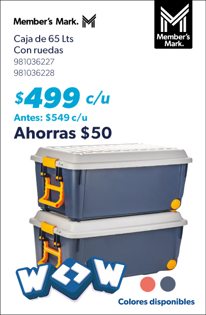 Caja de 65 litros con ruedas
