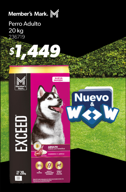 Alimento perro adulto