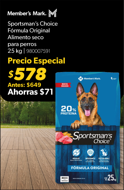 Alimento seco para perros