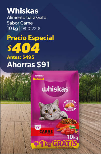 Alimento para gato sabor carne