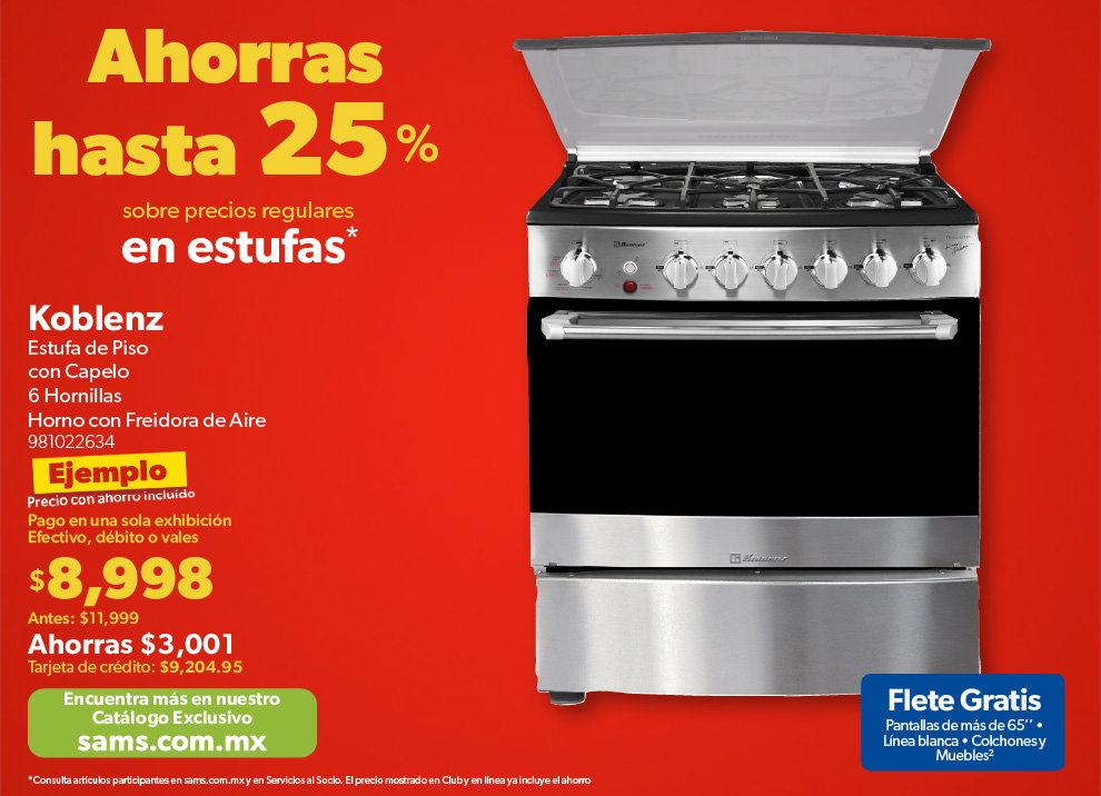 Estufa de piso con capelo