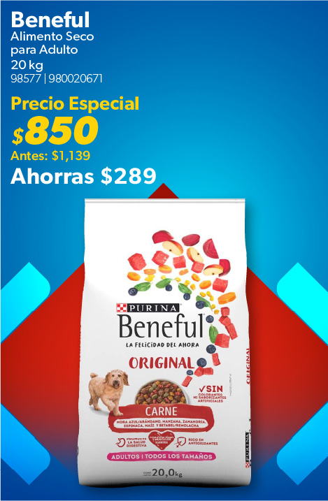 Alimento seco adulto