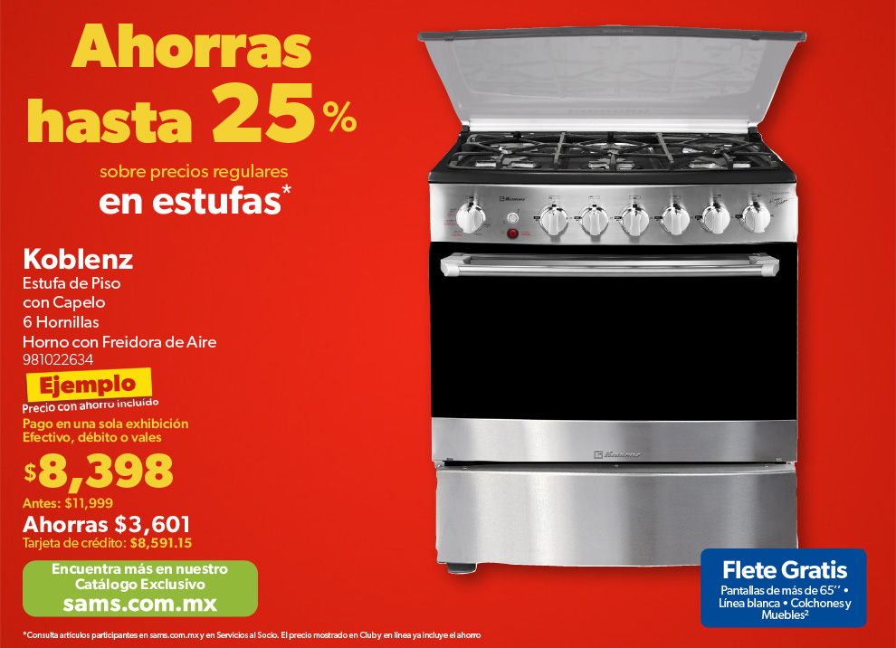 Estufa de piso con capelo