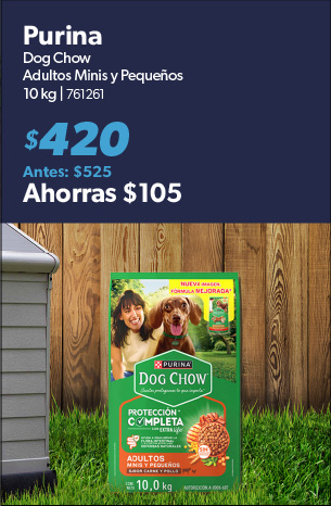 Alimento seca para minis y pequenos