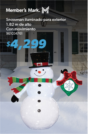 Muneco de nieve iluminado