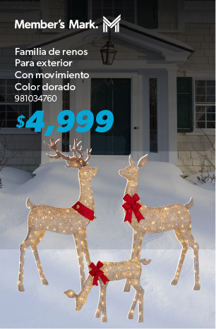 Familia de renos para exterior