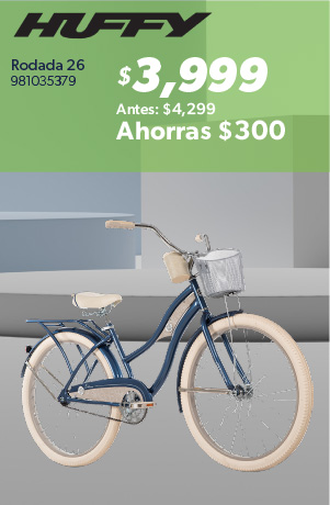Bicicleta rodada 26
