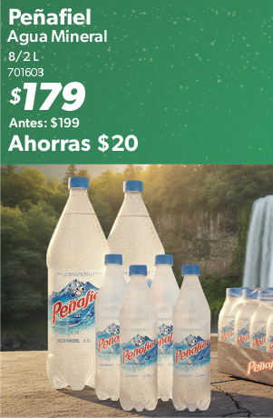 Agua mineral 2 litros